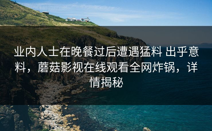 业内人士在晚餐过后遭遇猛料 出乎意料，蘑菇影视在线观看全网炸锅，详情揭秘